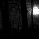 Image for article titled 27 Photos Of Barenaked Trees